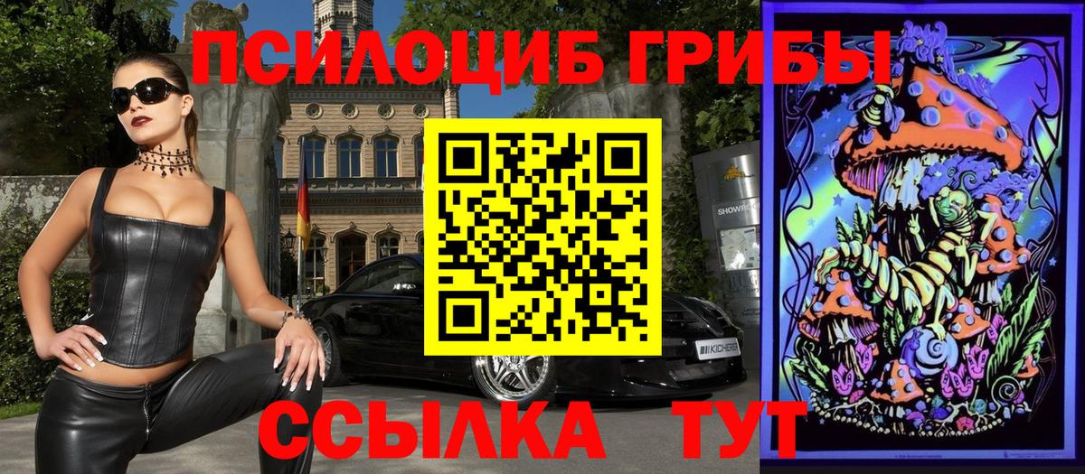 Галлюциногенные грибы Psilocybe  Вход с VPN  Галлюциногенные грибы прущие грибы  Дятьково 