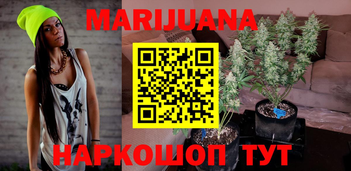 Бошки Шишки план Дятьково